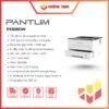 Máy in Laser đen trắng hai mặt đơn chức năng Pantum P3308DW