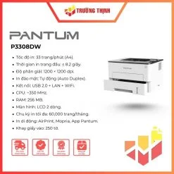Pantum P3308DW