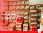 Phân phối Mercusys
