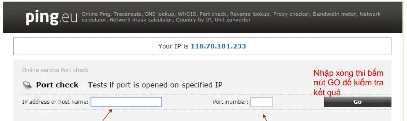 Nhập địa chỉ IP và số Port cần kiểm tra