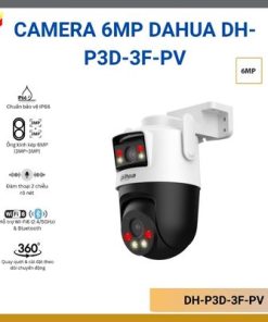 DH-P3D-3F-PV