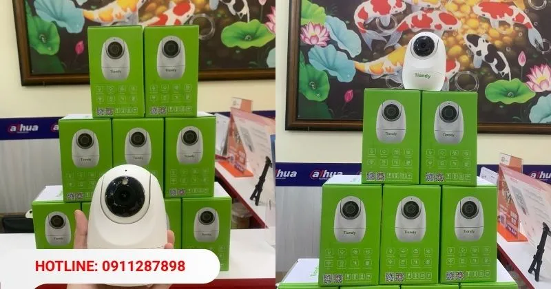 Camera TIANDY TC-H332N