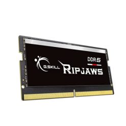 F5-4800S4039A16GX1-RS