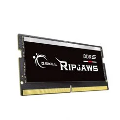 F5-4800S4039A16GX1-RS