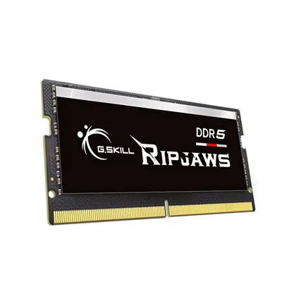 F5-4800S4039A16GX1-RS