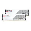 F5-5600J4040C16GX2-RS5W