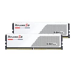 F5-5600J4040C16GX2-RS5W