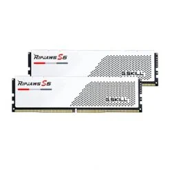 F5-5600J4040C16GX2-RS5W