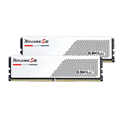 F5-5600J4040C16GX2-RS5W