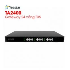 Yeastar TA2400