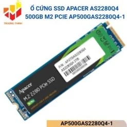 AP500GAS2280Q4-1