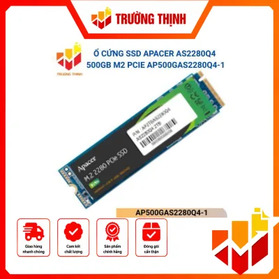 AP500GAS2280Q4-1