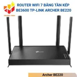 Archer BE220