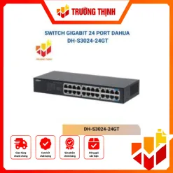 DH-S3024-24GT