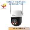 DH-SD-P5AE-PV-4G