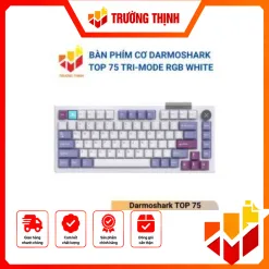 Darmoshark TOP 75