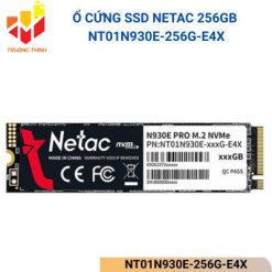 NT01N930E-256G-E4X