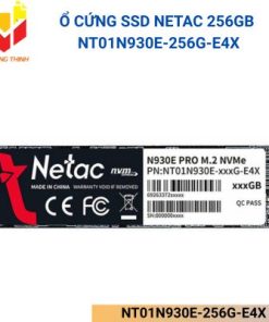 NT01N930E-256G-E4X