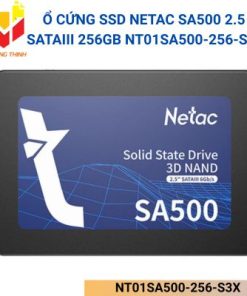 NT01SA500-256-S3X