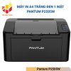 Pantum P2505W