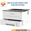 Pantum P3010DW