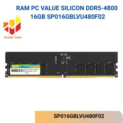 RAM SILICON DDR5-4800 16GB SP016GBLVU480F02