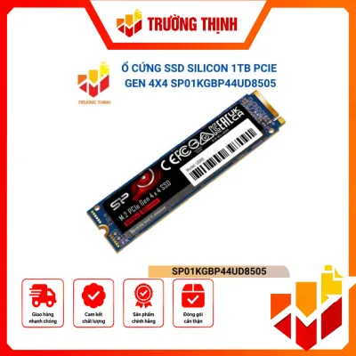 SP01KGBP44UD8505