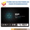 SP256GBSS3A55S25