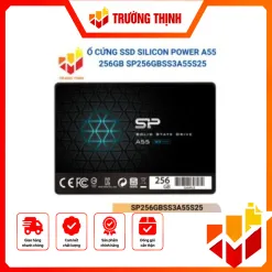 SP256GBSS3A55S25