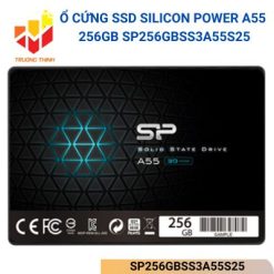 SP256GBSS3A55S25