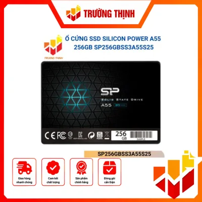 SP256GBSS3A55S25