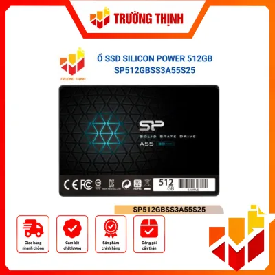 SP512GBSS3A55S25