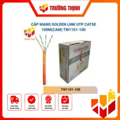 TW1101-100