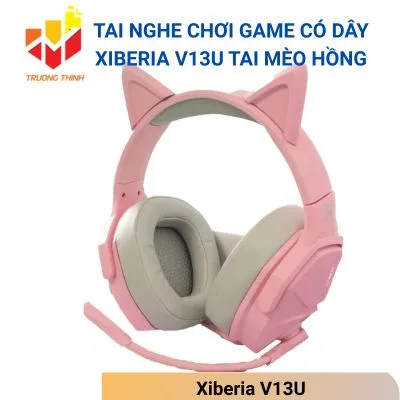 Xiberia V13U