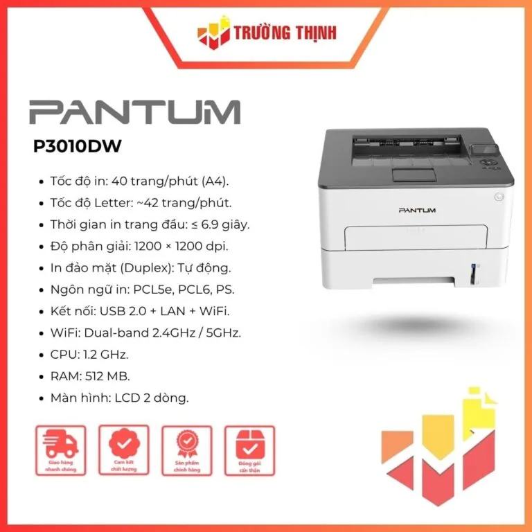 Pantum P3010DW