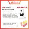 DS-2CD2443G2-IW (W)