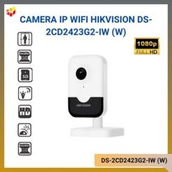 DS-2CD2423G2-IW (W)