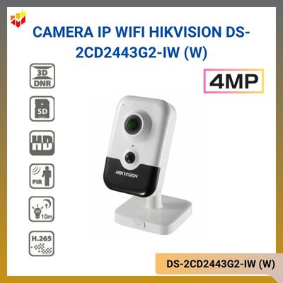 DS-2CD2443G2-IW (W)