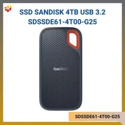 SDSSDE61-4T00-G25