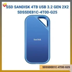 SDSSDE81C-4T00-G25