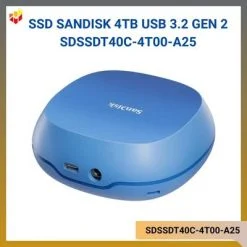 SDSSDT40C-4T00-A25