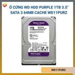 WD11PURZ