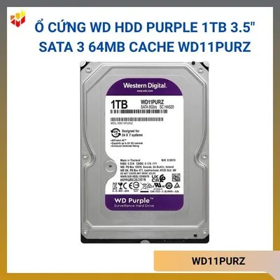 WD11PURZ