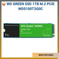 WDS100T3G0C