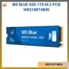 WDS100T4B0E