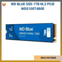 WDS100T4B0E