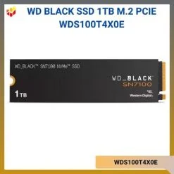 WDS100T4X0E