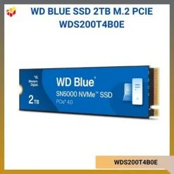 WDS200T4B0E
