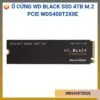 WDS400T2X0E