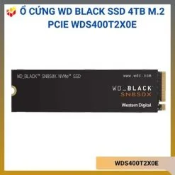 WDS400T2X0E